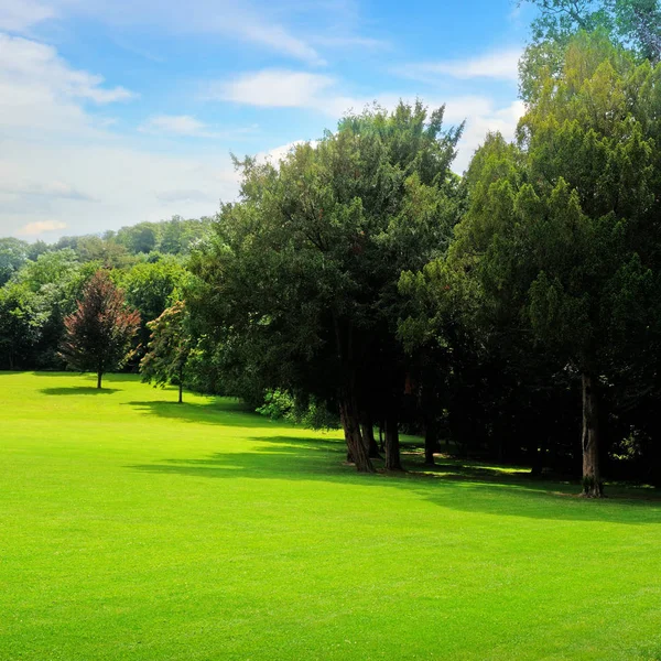 Yaz park, yeşil çayır ve mavi gökyüzü. Parlak güneşli bir günde.