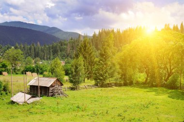 Dağlar, iğne yapraklı ağaçlar ve parlak bir gün batımı yamaçları. Kırsal manzara. Pitoresk ve muhteşem sahne. Yer yer Karpat, Ukrayna, Europe. Kavram ekoloji koruma. Dünyanın güzelliği keşfetmek.