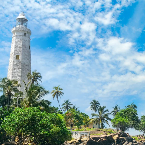 Beau Phare Lagune Palmiers Tropicaux Matara Sri Lanka Explorez Beauté — Photo