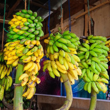 Sarı ve yeşil muz sebze dükkanı bulunmaktadır. Sri Lanka'da ticaret Caddesi.