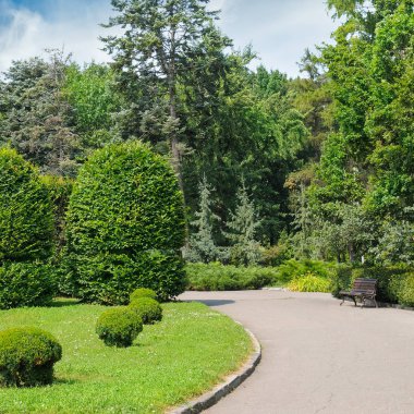 Yaz park, çit, yeşil çayır ve mavi gökyüzü. Parlak güneşli bir günde.