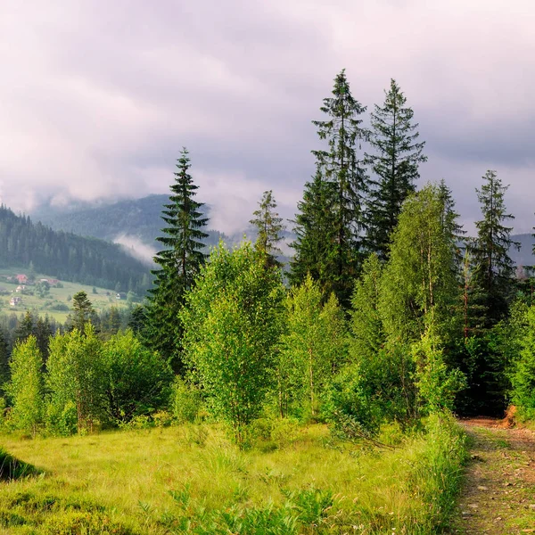 Berghänge Nadelbäume Und Wolken Abendhimmel Malerische Und Wunderschöne Szene Standort — Stockfoto