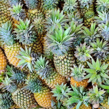 Taze sulu ananas parlak arka plan. Sri Lanka