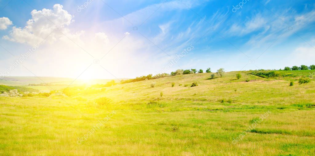 Hilly green fields and sunrise on a blue sky. Agricultural landscape. Wide photo.