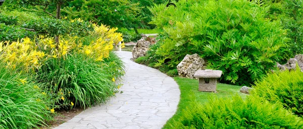 Sommaren Park Med Stigar Och Gula Blommor Solig Dag Brett — Stockfoto