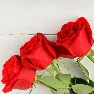 Beyaz ahşap zemin üzerinde güzel kırmızı gül. Düz yatıyordu, en iyi görünüm. Metin için boş alan.