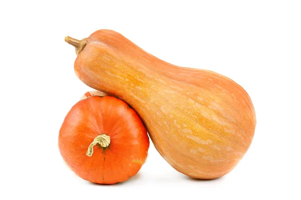 Calabazas Maduras Aisladas Sobre Fondo Blanco Alimento Saludable —  Fotos de Stock