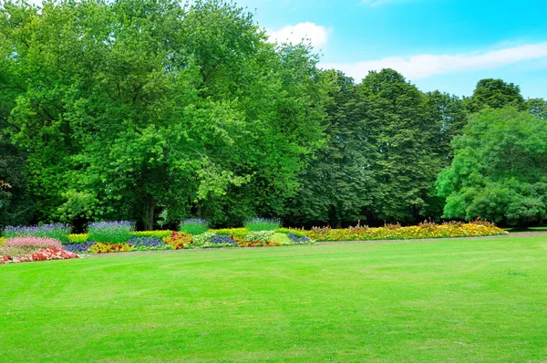 Zomer Park Met Mooie Bloemperken Weide — Stockfoto