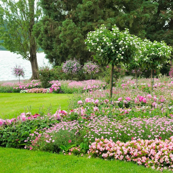 Güzel çiçek yatak ve çim yaz park. Kavram ekoloji koruma.