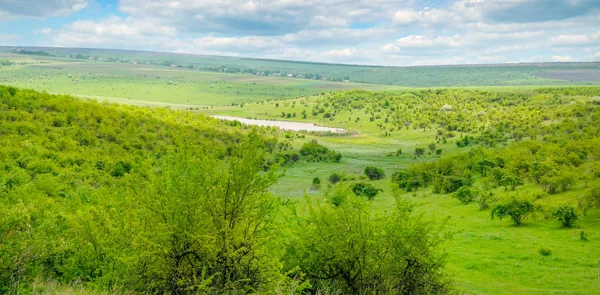 Nehri Vadisi Tepeler Teraslar Ile Yamaçlarda Çalılar Ağaçlar Otlar Büyür — Stok fotoğraf