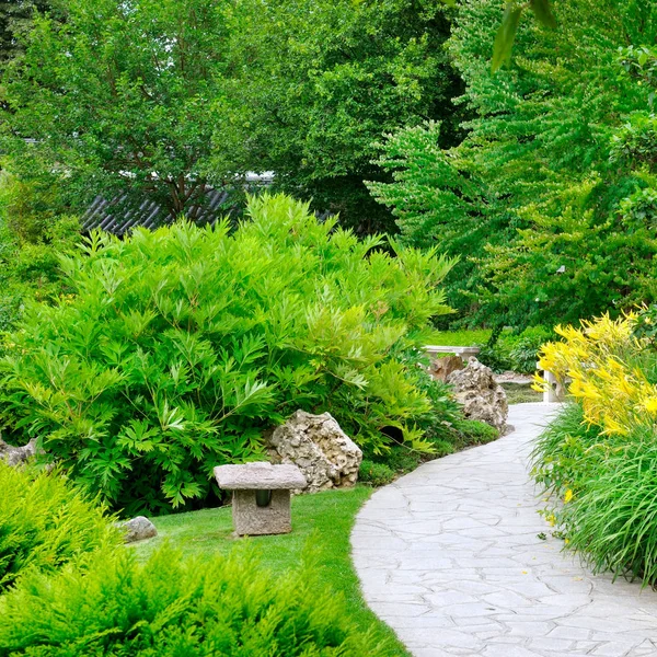 Sommaren Park Med Stigar Och Gula Blommor Solig Dag — Stockfoto