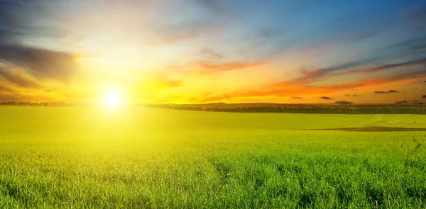 緑の草原 青い空光雲 地平線の上が明るい日の出です 農業の風景です ワイド写真 — ストック写真