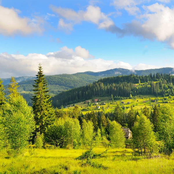 Sluttningarna Bergen Barrträd Och Moln Kvällshimlen Pittoresk Och Vacker Scen — Stockfoto