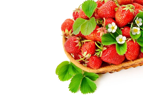 Cesta Mimbre Con Sabrosas Fresas Rojas Sobre Fondo Blanco Espacio — Foto de Stock