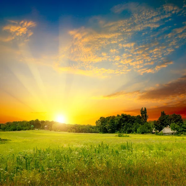 Grüne Wiese Und Strahlender Sonnenuntergang Ländliche Landschaft — Stockfoto