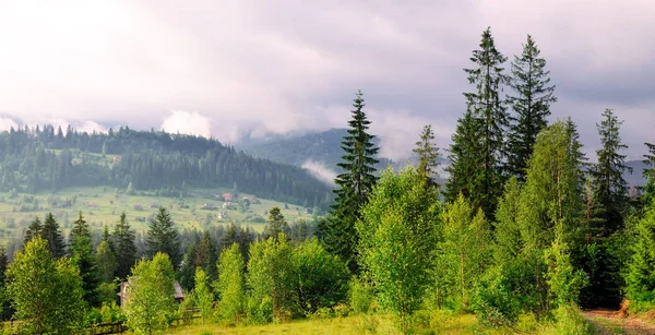 Dağlar Iğne Yapraklı Ağaçlar Akşam Gökyüzünde Bulutlar Yamaçları Yer Yer — Stok fotoğraf