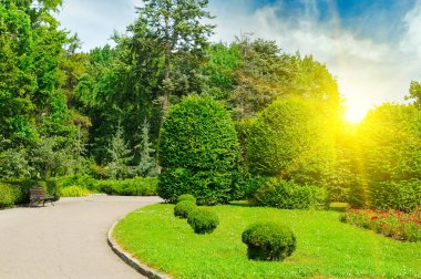 Hedges ve süs çalı bir yaz parkta. Mavi gökyüzünde parlak gündoğumu