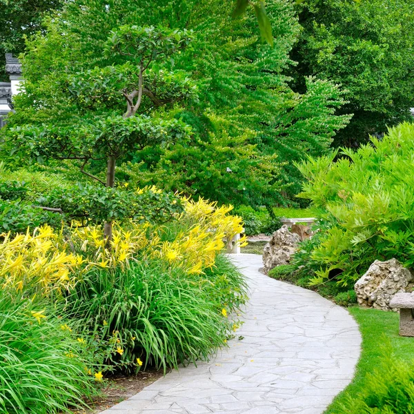 Summer Park Paths Yellow Flowers Bright Sunny Day — Stock Photo, Image