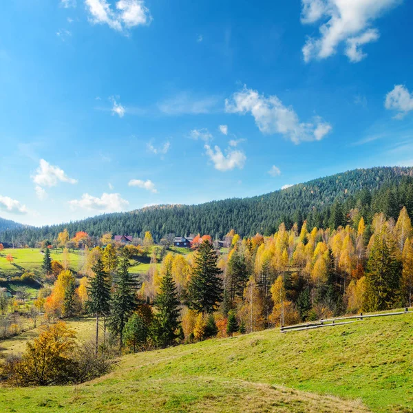 Jesień Las Zboczach Gór Piękny Krajobraz — Zdjęcie stockowe