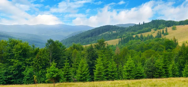 Berghänge Nadelbäume Und Wolken Himmel Standort Ort Karpaten Ukraine Europa — Stockfoto