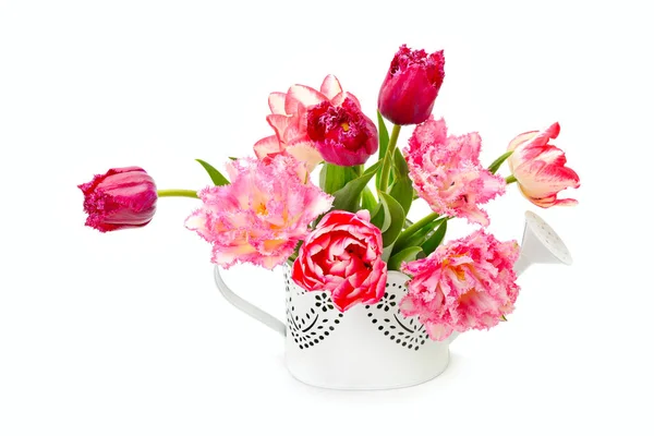 Fowers Tulipanes Regadera Decorativa Aislada Sobre Fondo Blanco Tarjeta Felicitación —  Fotos de Stock