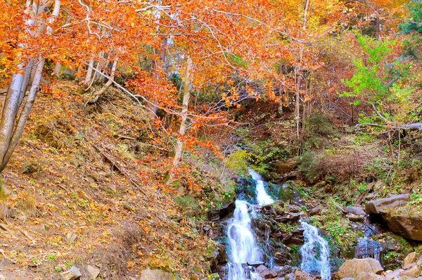 Schöner Wasserfall in den Karpaten, Ukraine. Herbstwald ein — Stockfoto