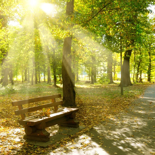 Podzimní Park s cestami a lavičkou. Sluneční paprsky svítí žlutě — Stock fotografie