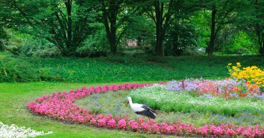 Güzel çiçekler ile yaz park. Bir leylek b karşı yürüyor