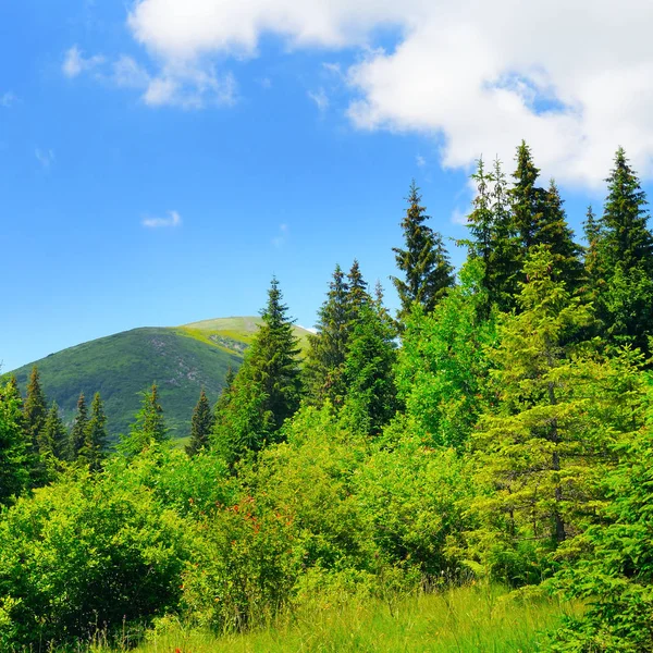 Natursköna berg, ängar och blå himmel. — Stockfoto