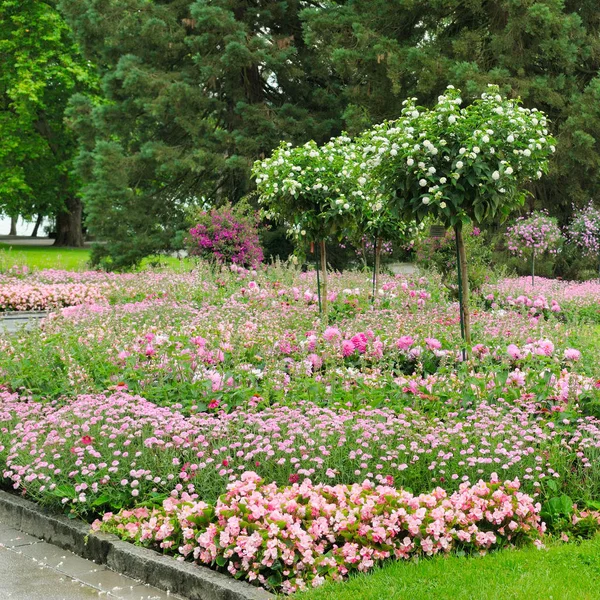 Letní park s nádhernými květinovými záhony a zahradní. — Stock fotografie
