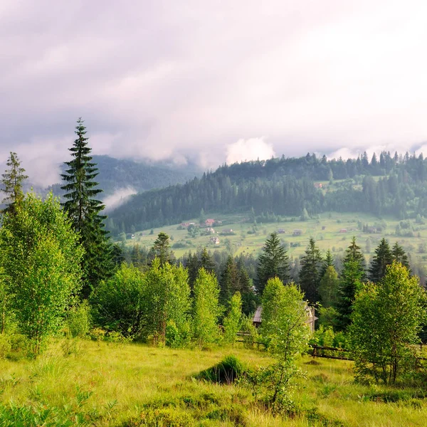 Berge, Nadelbäume und Wolken am Abendhimmel. — Stockfoto