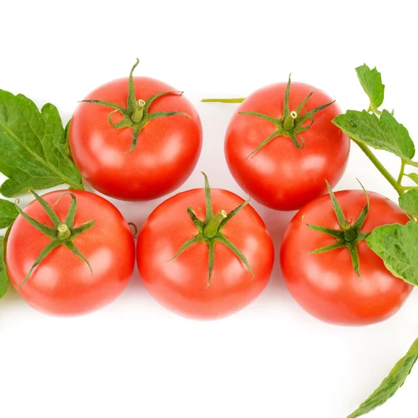 Beyaz arka plan üzerinde izole iştah açıcı taze domates. — Stok fotoğraf