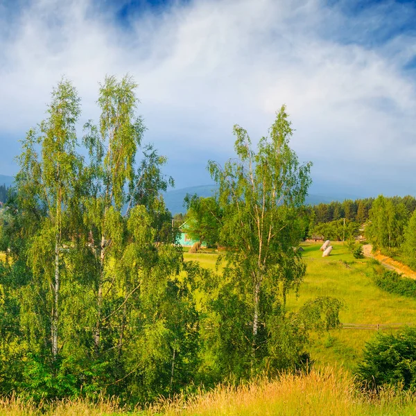 Berghänge, Nadelbäume und Wolken am Abend — Stockfoto