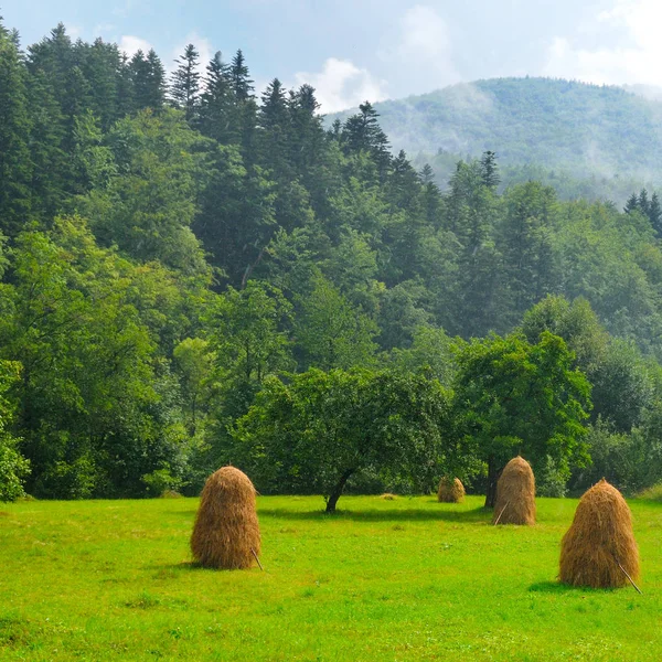 Haystacks and green grass in the mountain valley — Stock Photo, Image