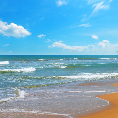 Güzel deniz ve mavi gökyüzü. Sri Lanka.