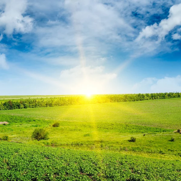 Grönt fält och en härlig soluppgång. Jordbrukslandskap. — Stockfoto