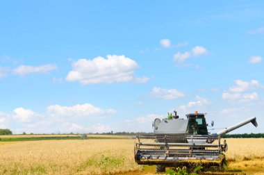 Hasat makine alanında çalışan .