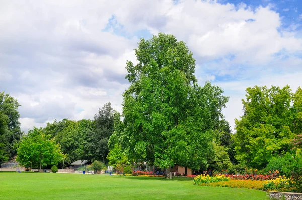 Güzel çiçek yatak ve çim yaz park. — Stok fotoğraf