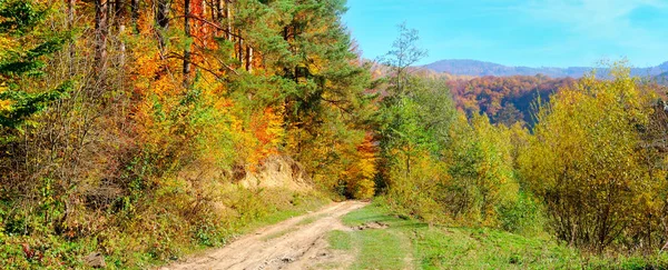 Φθινοπωρινό τοπίο με γραφικό δάσος και παλιό εξοχικό δρόμο. W — Φωτογραφία Αρχείου