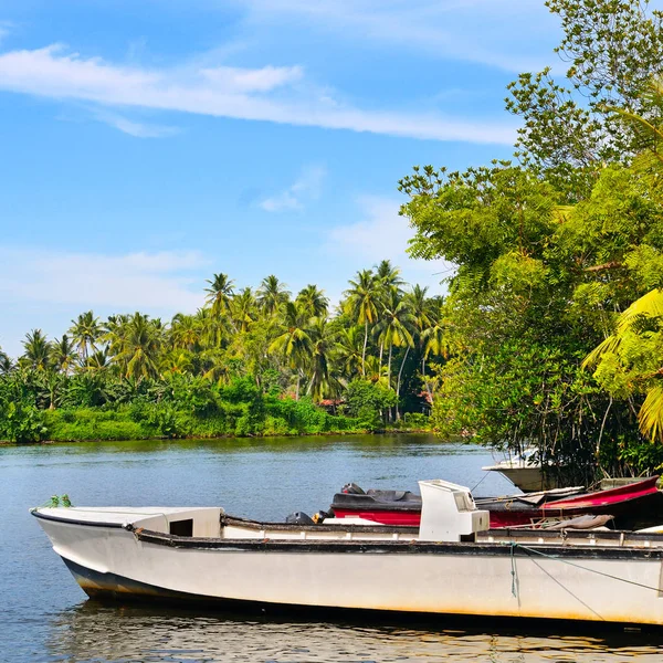 Prachtig uitzicht op het meer van Bentota, Sri Lanka, op een zonnige dag. — Stockfoto