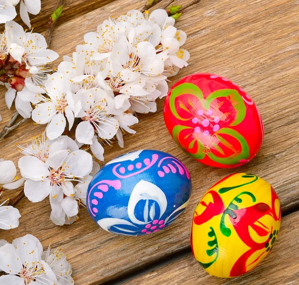 Uova di Pasqua e albicocca fiorita su uno sfondo di legno . — Foto Stock