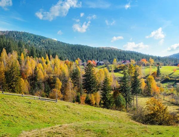 Jesienny las na zboczach gór. — Zdjęcie stockowe