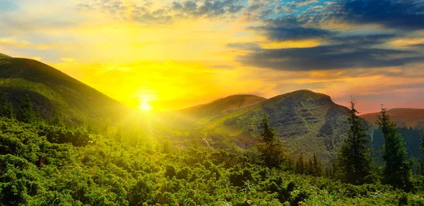 Paysage d'automne avec forêt pittoresque et soleil. Grande photo . — Photo