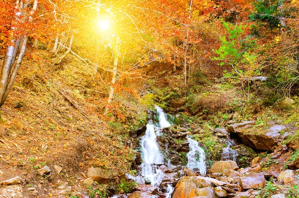 Mountain waterfall in the autumn forest. — Stock Photo, Image