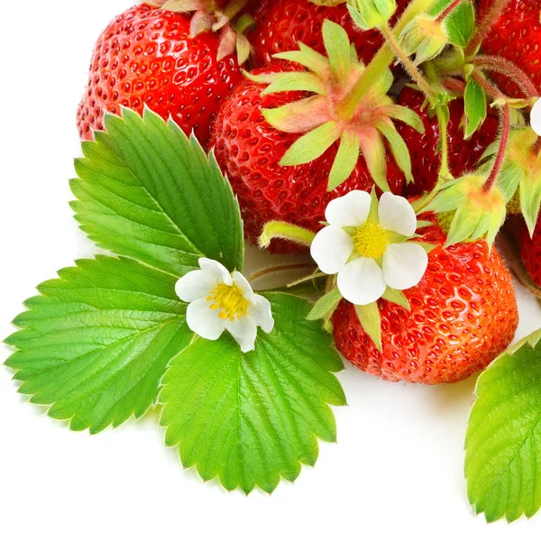 Strawberries isolated on white background. — Stock Photo, Image