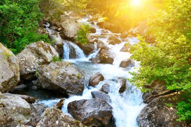 Dağ nehri yeşil ormandan akıyor..