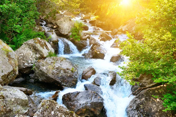 Mountain river flowing through the green forest. — Stock Photo, Image