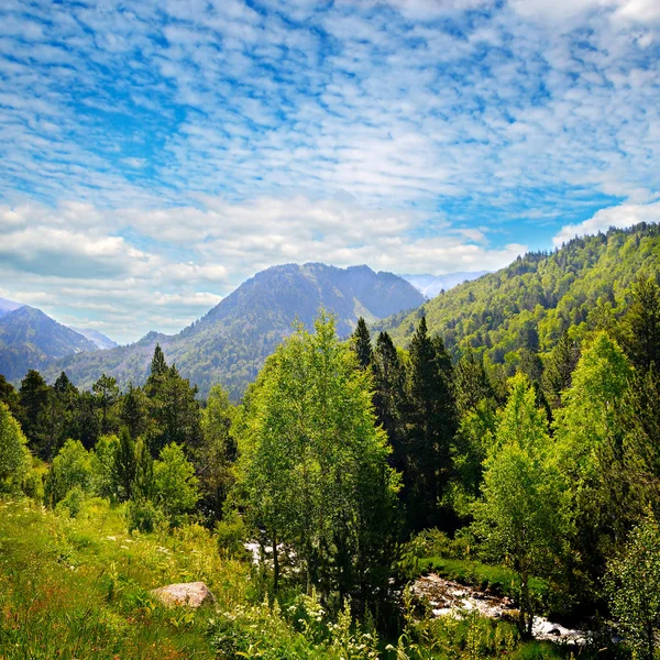 Prachtige berg en rivier. Het concept is reizen. — Stockfoto