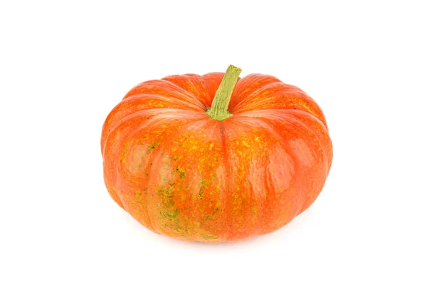 Ripe pumpkin isolated on white background. — Stock Photo, Image