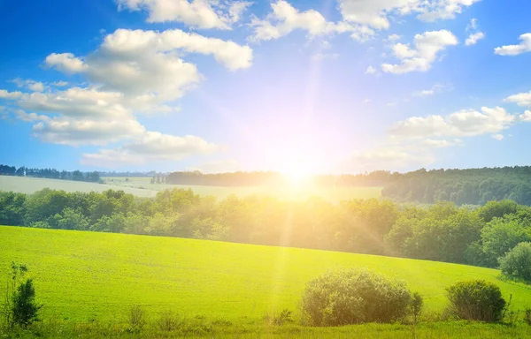 Groen Veld Zon Blauwe Lucht Landbouwlandschap — Stockfoto